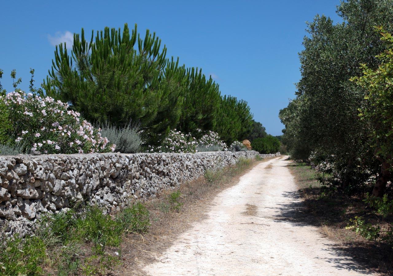 מסאפרה Novecento Room And Breakfast Puglia מראה חיצוני תמונה